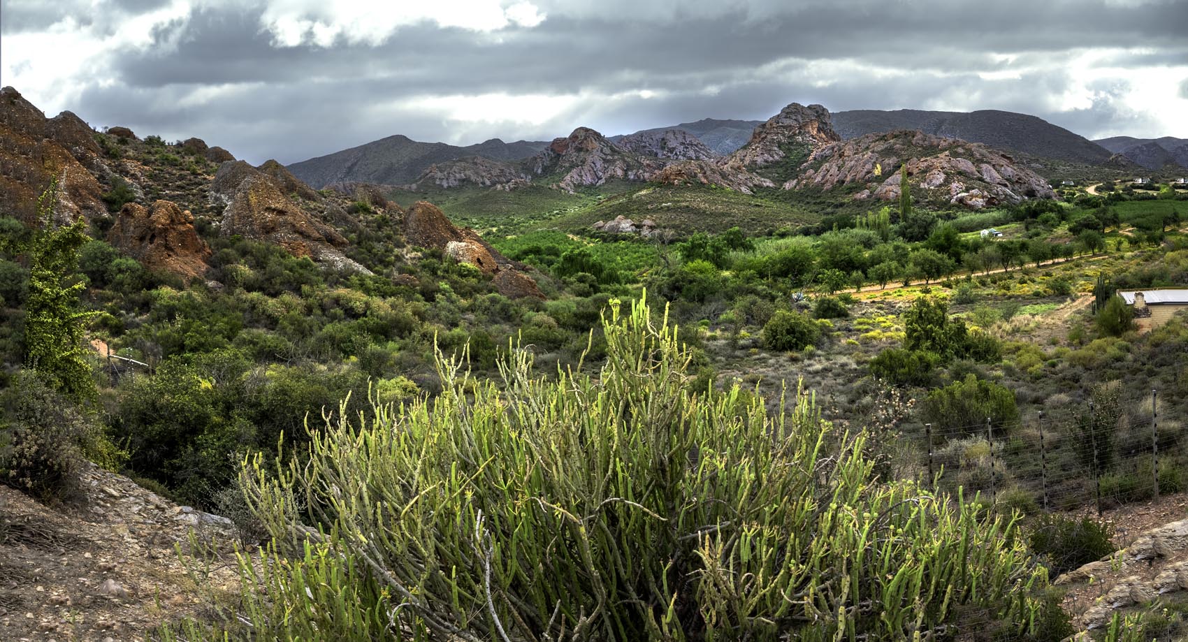 Klein karoo landscapes Joe Lategan