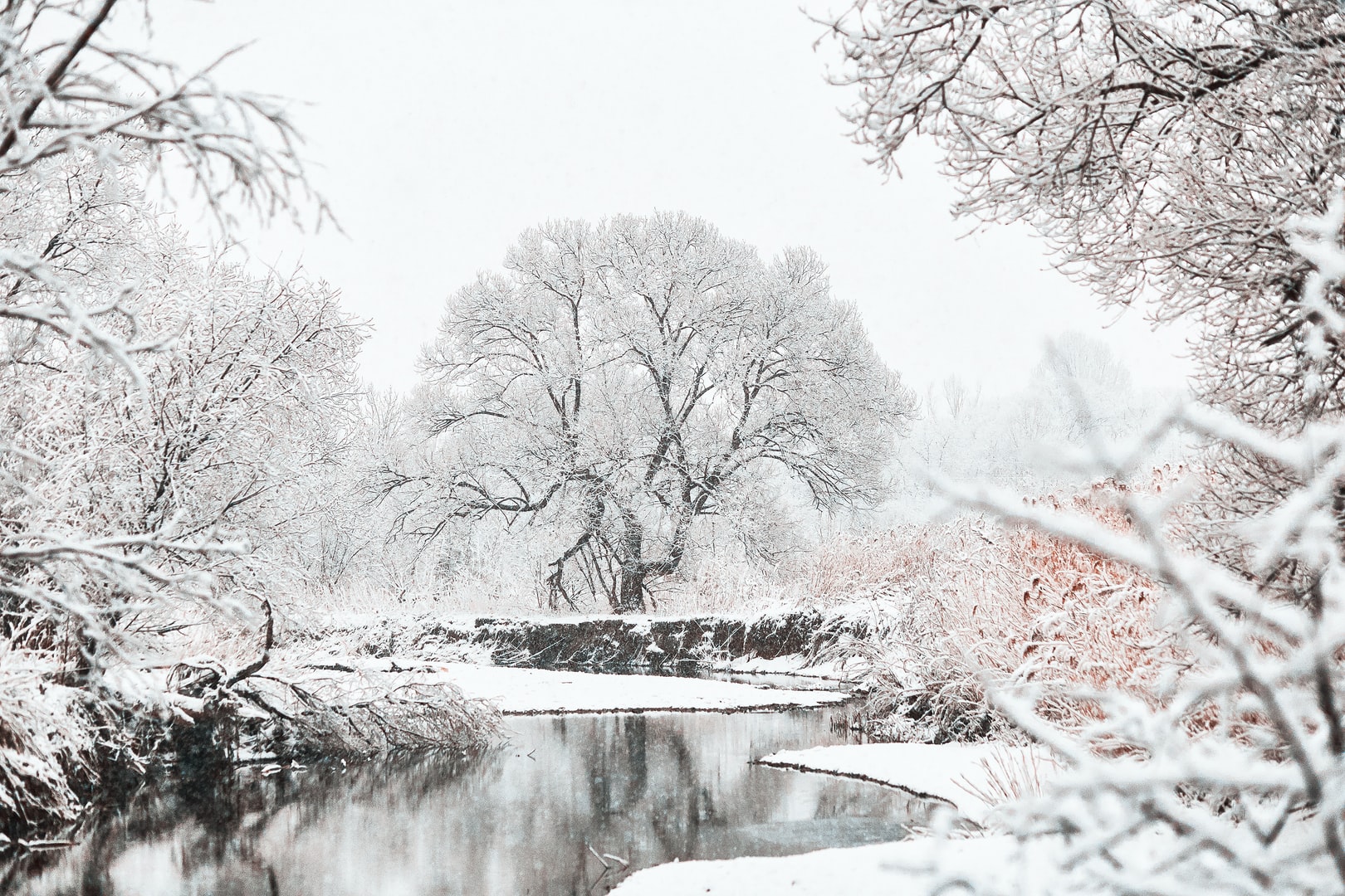 Snow and winter photography in south africa